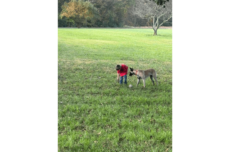 Rocky River Kennels
